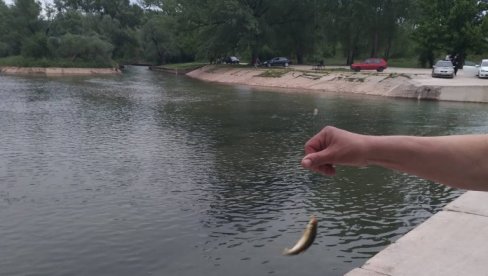 БУНА КОД МОСТАРА ЈЕ ПРИРОДНИ РАЈ: У приобаљу древни стећци, у води златне рибице - ускоро почиње несвакидашње такмичење (ФОТО) БУНА КОД МОСТАРА ЈЕ ПРИРОДНИ РАЈ: У приобаљу древни стећци, у води златне рибице - ускоро почиње несвакидашње такмичење (ФОТО)