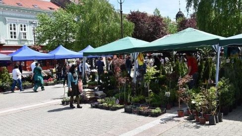 RASCVETAO SE GRADSKI TRG U VRŠCU: Na 10. Sajmu cveća učestvovalo 35 izlagača iz cele Srbije RASCVETAO SE GRADSKI TRG U VRŠCU: Na 10. Sajmu cveća učestvovalo 35 izlagača iz cele Srbije