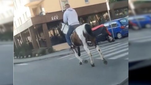 ОВО СЕ У БЕОГРАДУ НЕ ВИЂА СВАКИ ДАН: Зајахао коња, па кренуо улицом међу аутомобиле (ВИДЕО) ОВО СЕ У БЕОГРАДУ НЕ ВИЂА СВАКИ ДАН: Зајахао коња, па кренуо улицом међу аутомобиле (ВИДЕО)