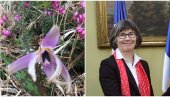 БАШТЕ СРБИЈЕ: Шан Меклауд стално фотографише живописно цвеће од Таре до Београда БАШТЕ СРБИЈЕ: Шан Меклауд стално фотографише живописно цвеће од Таре до Београда