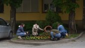 МАТУРАНТКИЊЕ УКРАСИЛЕ ЗГРАДУ ОПШТИНЕ: Срдњошколке из Ковина традиционално садиле цвеће МАТУРАНТКИЊЕ УКРАСИЛЕ ЗГРАДУ ОПШТИНЕ: Срдњошколке из Ковина традиционално садиле цвеће