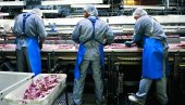 БРИТАНИЈА У ПРЕДВОРЈУ ПАКЛА: После несташице горива нова криза погађа острвљане – нема меса БРИТАНИЈА У ПРЕДВОРЈУ ПАКЛА: После несташице горива нова криза погађа острвљане – нема меса