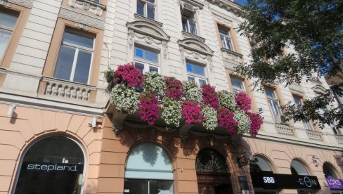 КОНКУРС ЗА ЗЕЛЕНИЈИ БЕОГРАД: Избори у седам конкуренција КОНКУРС ЗА ЗЕЛЕНИЈИ БЕОГРАД: Избори у седам конкуренција