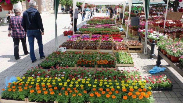 ПРОЛЕЋНИ САЈАМ ЦВЕЋА И МЕДА У СМЕДЕРЕВУ ОД 10. ДО 12. МАЈА:Бира се најбољи штанд и расадник ПРОЛЕЋНИ САЈАМ ЦВЕЋА И МЕДА У СМЕДЕРЕВУ ОД 10. ДО 12. МАЈА:Бира се најбољи штанд и расадник