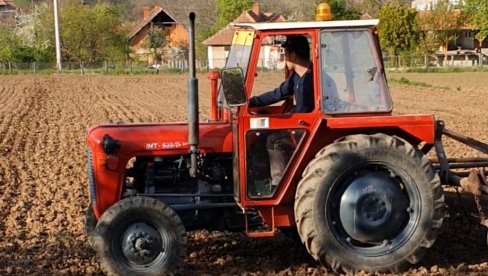 У БРАЗДАМА СЛАТКИ КРОМПИР ИЗ АМЕРИКЕ: Милица (37) и Марко (36) Јовановић код Јагодине узгајају батат У БРАЗДАМА СЛАТКИ КРОМПИР ИЗ АМЕРИКЕ: Милица (37) и Марко (36) Јовановић код Јагодине узгајају батат