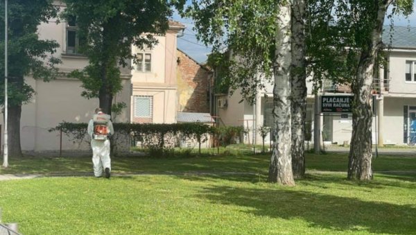 ЧИСТЕ ЂАЧКЕ ПАРКОВЕ ОД КРПЕЉА: У Трстенику стручњаци Ветеринарско-специјалистичког института из Краљева ЧИСТЕ ЂАЧКЕ ПАРКОВЕ ОД КРПЕЉА: У Трстенику стручњаци Ветеринарско-специјалистичког института из Краљева
