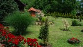 NAJLEPŠE DVORIŠTE LEVČA: Turistička organizacija opštine Rekovac raspisala konkurs NAJLEPŠE DVORIŠTE LEVČA: Turistička organizacija opštine Rekovac raspisala konkurs