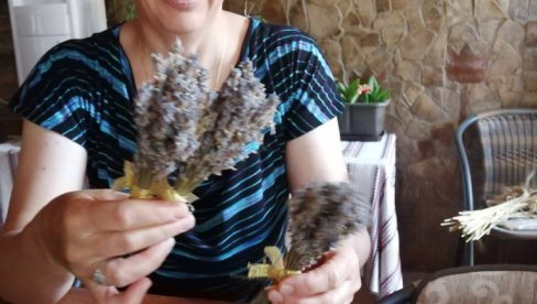 ЗА ЛАВАНДУ И ПЧЕЛЕ ДВА МИЛИОНА ДИНАРА: Градско веће Сомбора усвојили мере помоћи пољопривреди ЗА ЛАВАНДУ И ПЧЕЛЕ ДВА МИЛИОНА ДИНАРА: Градско веће Сомбора усвојили мере помоћи пољопривреди