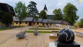 НИКОЛА БОЖИЋ НОВИ ДИРЕКТОР ПЕТНИЦЕ: Промена у врху престижне европске научне институције Србије
