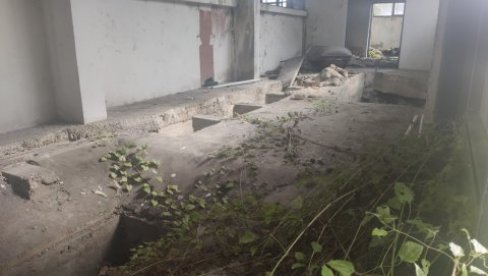 НИШТА ОД УЗГОЈА КАНАБИСА НА ЦЕТИЊУ: Шта се догодило са послом са Канађанима - Уместо конопље, “никли” дугови НИШТА ОД УЗГОЈА КАНАБИСА НА ЦЕТИЊУ: Шта се догодило са послом са Канађанима - Уместо конопље, “никли” дугови