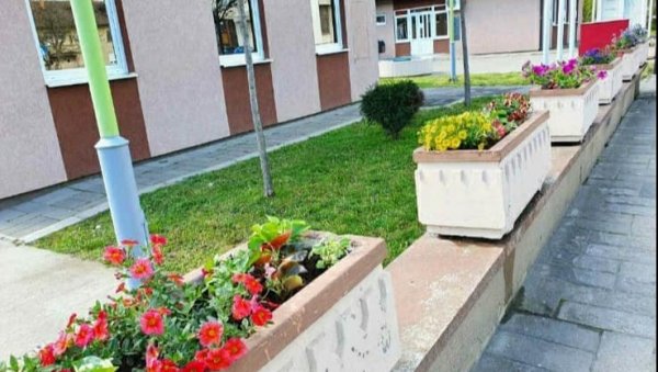 УРЕЂЕЊЕ ЗЕЛЕНИХ ПОВРШИНА: „Процветале“ улице у Костолцу УРЕЂЕЊЕ ЗЕЛЕНИХ ПОВРШИНА: „Процветале“ улице у Костолцу