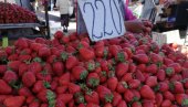 ЦЕНА ЈАГОДА ОД 220 ДО 350 НА КАЛЕНИЋ ПИЈАЦИ: Купци највише од поврћа пазаре парадајз ЦЕНА ЈАГОДА ОД 220 ДО 350 НА КАЛЕНИЋ ПИЈАЦИ: Купци највише од поврћа пазаре парадајз