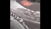ДА СЕ ВОЈСКА НА КОСОВО ВРАТИ: Амфилохијева омиљена песма ори се Херцег Новим (ВИДЕО) ДА СЕ ВОЈСКА НА КОСОВО ВРАТИ: Амфилохијева омиљена песма ори се Херцег Новим (ВИДЕО)
