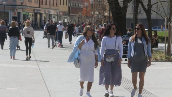 МАЈКЕ ГУБЕ СВУ ПОМОЋ: Кад раде хонорарно! МАЈКЕ ГУБЕ СВУ ПОМОЋ: Кад раде хонорарно!