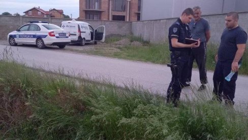 ОТРОВАНИ ГОЛУБОВИ: Лешеви чак 80 птица нађени на њивама палилулског насеља Попова Бара ОТРОВАНИ ГОЛУБОВИ: Лешеви чак 80 птица нађени на њивама палилулског насеља Попова Бара