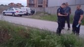 OTROVANI GOLUBOVI: Leševi čak 80 ptica nađeni na njivama palilulskog naselja Popova Bara OTROVANI GOLUBOVI: Leševi čak 80 ptica nađeni na njivama palilulskog naselja Popova Bara