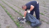 ГРАЂАНИ У СТРАХУ ЗА СВОЈЕ ЗДРАВЉЕ: Кривац за масовни помор голубова у Борчи непознат ГРАЂАНИ У СТРАХУ ЗА СВОЈЕ ЗДРАВЉЕ: Кривац за масовни помор голубова у Борчи непознат