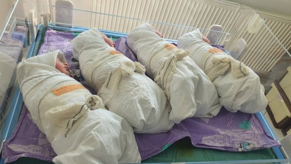 БЕБИ-БУМ У ВОЈВОДИНИ: У новосадском породилишту за дан рођено 28 беба БЕБИ-БУМ У ВОЈВОДИНИ: У новосадском породилишту за дан рођено 28 беба