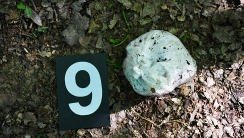 HEROIN KRIO U ŠUMI: Uhapšen D. V. (20) iz Valjeva HEROIN KRIO U ŠUMI: Uhapšen D. V. (20) iz Valjeva