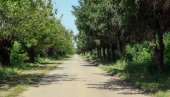 МИНИБУСЕВИ ЗА СЕЛА: Ускоро конкурс - издвојено 120 милиона динара