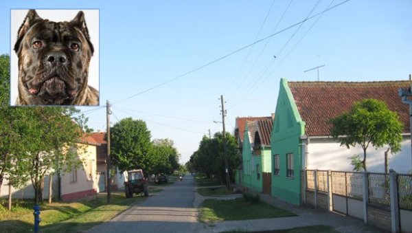 ТЕЛОМ ЗАШТИТИО УНУКЕ: Пси изуједали две девојчице и њиховог деду у селу Добродол у иришкој општини ТЕЛОМ ЗАШТИТИО УНУКЕ: Пси изуједали две девојчице и њиховог деду у селу Добродол у иришкој општини
