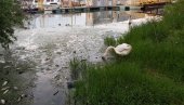 СТРАШАН ПРИЗОР НА ДУНАВЦУ: Мртва риба плута Адом Хујом - грађани згрожени (ВИДЕО) СТРАШАН ПРИЗОР НА ДУНАВЦУ: Мртва риба плута Адом Хујом - грађани згрожени (ВИДЕО)
