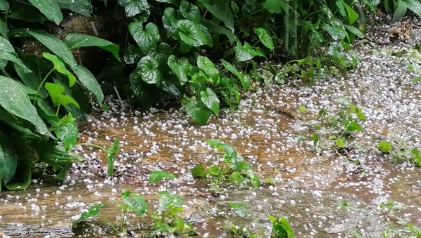 ГРАД ЗАСУО ВРШАЦ: Пљусак пада већ сатима - вода на улицама, саобраћај отежан ГРАД ЗАСУО ВРШАЦ: Пљусак пада већ сатима - вода на улицама, саобраћај отежан