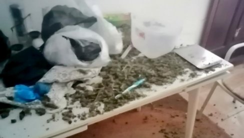 ЗАПЛЕЊЕНО 25 КИЛОГРАМА МАРИХУАНЕ: Ухапшен младић из Параћина ЗАПЛЕЊЕНО 25 КИЛОГРАМА МАРИХУАНЕ: Ухапшен младић из Параћина