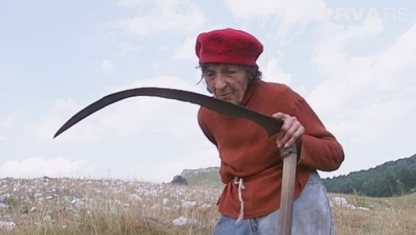 УМЕСТО ВИРЏИНА - БИРАЊЕ ПОЛА: У Црној Гори од 2011. до краја 2020. рођено 2.922 дечака више него девојчица УМЕСТО ВИРЏИНА - БИРАЊЕ ПОЛА: У Црној Гори од 2011. до краја 2020. рођено 2.922 дечака више него девојчица