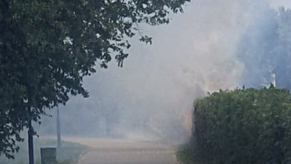 ПОЖАР НА АДИ ЦИГАНЛИЈИ: Густ дим се надвио над популарним излетиштем ПОЖАР НА АДИ ЦИГАНЛИЈИ: Густ дим се надвио над популарним излетиштем