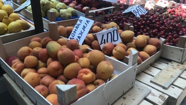 НА ПИЈАЦЕ СТИГЛЕ ПРВЕ КАЈСИЈЕ: Килограм 400 динара НА ПИЈАЦЕ СТИГЛЕ ПРВЕ КАЈСИЈЕ: Килограм 400 динара