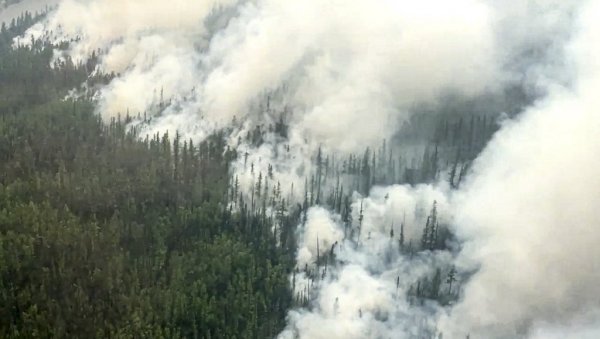 ВЕЛИКИ ПОЖАР КОД ОМИША: Олујна бура отежава гашење ВЕЛИКИ ПОЖАР КОД ОМИША: Олујна бура отежава гашење
