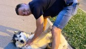 ШЕТЊА СА ТВИКСИЈЕМ: Синиша Мали прошетао новог члана домаћинства (ФОТО) ШЕТЊА СА ТВИКСИЈЕМ: Синиша Мали прошетао новог члана домаћинства (ФОТО)