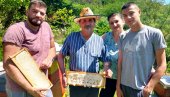 СЛАТКА ЗАРАДА У ЛОШОЈ ГОДИНИ: Откупна цена већ готово 10 евра по килограму СЛАТКА ЗАРАДА У ЛОШОЈ ГОДИНИ: Откупна цена већ готово 10 евра по килограму