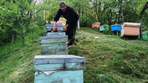 ПАРАЋИНСКО УДРУЖЕЊЕ ПЧЕЛАРА ПОДСЕЋА: Расписан конкурс за подстицаје по кошници