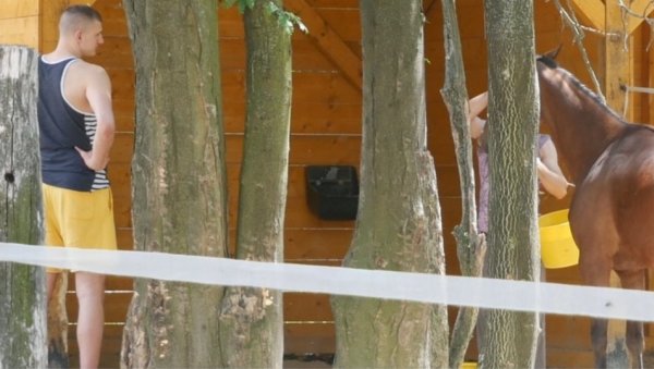 НАПЕТ ДАН ЈОКИЋА НА ХИПОДРОМУ: Никола славио тријумф свог грла као победу Денвера (ФОТО) НАПЕТ ДАН ЈОКИЋА НА ХИПОДРОМУ: Никола славио тријумф свог грла као победу Денвера (ФОТО)