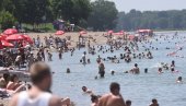 МЕДУЗЕ И СОМОВИ ОД 100 КИЛОГРАМА: Ово је подводни свет на Ади Циганлији (ВИДЕО) МЕДУЗЕ И СОМОВИ ОД 100 КИЛОГРАМА: Ово је подводни свет на Ади Циганлији (ВИДЕО)