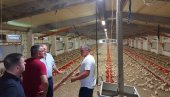 КОКОШКЕ НОСЕ КУВАНА ЈАЈА? Министар Недимовић насмејао домаћине на фарми пилића КОКОШКЕ НОСЕ КУВАНА ЈАЈА? Министар Недимовић насмејао домаћине на фарми пилића
