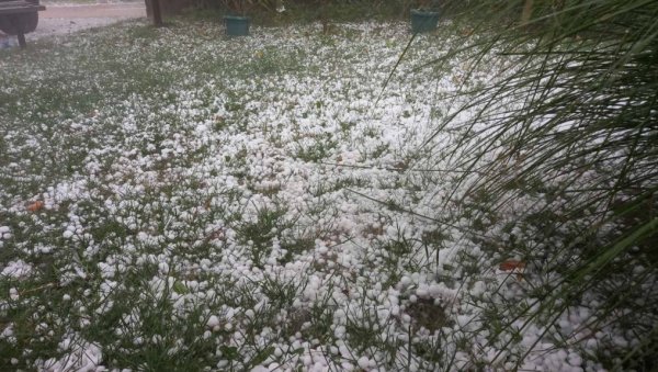 СТРАДАЛИ УСЕВИ: Разорна олуја у Чачку и околини уништила цео род кајсија и трешања,воћари очајни! (ФОТО) СТРАДАЛИ УСЕВИ: Разорна олуја у Чачку и околини уништила цео род кајсија и трешања,воћари очајни! (ФОТО)