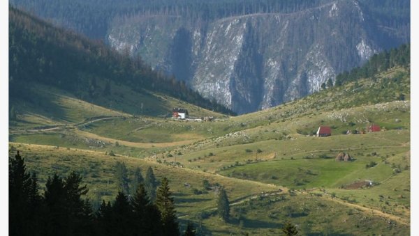 ОБЕСИО СЕ НЕСРЕЋНИМ СЛУЧАЈЕМ? Код Пљеваља страдао мештанин, пронађен мртав у пчеларској униформи ОБЕСИО СЕ НЕСРЕЋНИМ СЛУЧАЈЕМ? Код Пљеваља страдао мештанин, пронађен мртав у пчеларској униформи