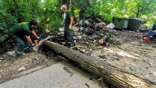 ОЛУЈА СРУШИЛА ДРВО У ВРЧИНУ: Драму у селу Касаповац решили храбри радници Зеленила (ФОТО) ОЛУЈА СРУШИЛА ДРВО У ВРЧИНУ: Драму у селу Касаповац решили храбри радници Зеленила (ФОТО)