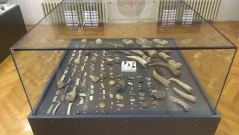 ŽIVOT U ŠUMADIJI U NEOLITU: Arheološka izložba Stariji i mlađi neolit na tlu centralne Šumadije u Narodnom muzeju u Kragujevcu ŽIVOT U ŠUMADIJI U NEOLITU: Arheološka izložba Stariji i mlađi neolit na tlu centralne Šumadije u Narodnom muzeju u Kragujevcu