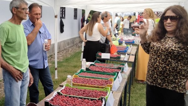 ЦЕНА ДОБРА, А РОД ЈОШ НЕИЗВЕСТАН: 59. дани малине у Бранковини код Ваљева ЦЕНА ДОБРА, А РОД ЈОШ НЕИЗВЕСТАН: 59. дани малине у Бранковини код Ваљева