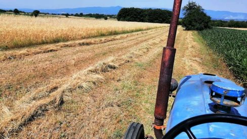 POLJOPRIVREDNICI OBRATITE PAŽNJU: Ovo je jedini način da se spreče požari na njivama! POLJOPRIVREDNICI OBRATITE PAŽNJU: Ovo je jedini način da se spreče požari na njivama!