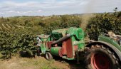 ЦИЉ ПОДРШКЕ У ДЕРВЕНТИ: За подстицаје пољопривреди пола милиона марака ЦИЉ ПОДРШКЕ У ДЕРВЕНТИ: За подстицаје пољопривреди пола милиона марака