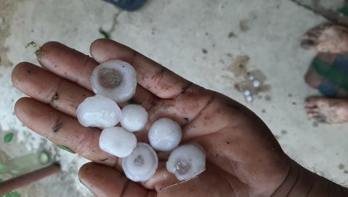 NEVEROVATNE FOTOGRAFIJE NEVREMENA: Grad u Negotinu pravio rupe na krovovima, mnoga domaćinstva bez struje (FOTO) NEVEROVATNE FOTOGRAFIJE NEVREMENA: Grad u Negotinu pravio rupe na krovovima, mnoga domaćinstva bez struje (FOTO)