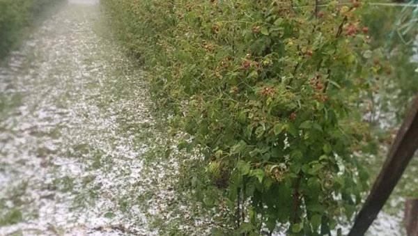 ЈАКО НЕВРЕМЕ НА ЗАПАДУ СРБИЈЕ: Град протутњао ивањичким селима ЈАКО НЕВРЕМЕ НА ЗАПАДУ СРБИЈЕ: Град протутњао ивањичким селима