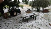 НЕЗАПАМЋЕНО НЕВРЕМЕ КОД НЕГОТИНА: Забелеле се парцеле, десетковани приноси (ФОТО) НЕЗАПАМЋЕНО НЕВРЕМЕ КОД НЕГОТИНА: Забелеле се парцеле, десетковани приноси (ФОТО)