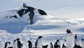 ПОТВРЂЕНА НОВА РЕКОРДНА ТЕМПЕРАТУРА НА АНТАРКТИКУ: Измерено више од 18 степени Целзијусових ПОТВРЂЕНА НОВА РЕКОРДНА ТЕМПЕРАТУРА НА АНТАРКТИКУ: Измерено више од 18 степени Целзијусових