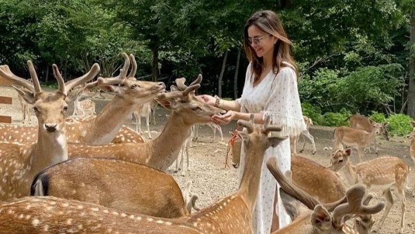 СЕВЕРИНА ХРАНИ ЈЕЛЕНЕ: Кебина снајка ужива на ранчу на Плитвицама СЕВЕРИНА ХРАНИ ЈЕЛЕНЕ: Кебина снајка ужива на ранчу на Плитвицама